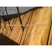PLB plywood veneer/pine veneer